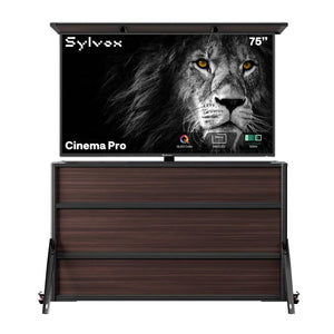 75" Cinema Pro TV extérieure + meuble élévateur