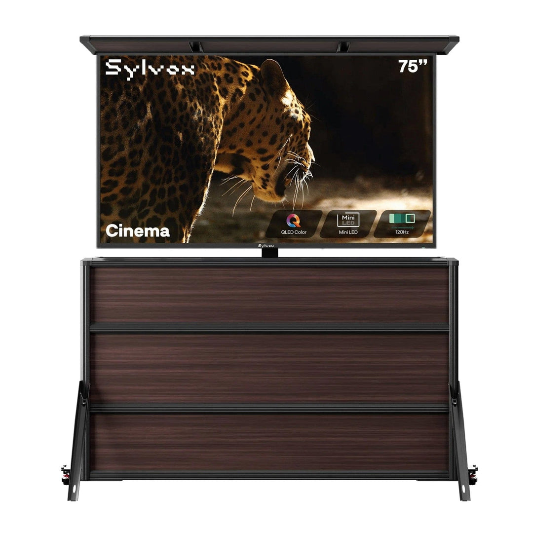 75" Cinema TV extérieure + meuble élévateur