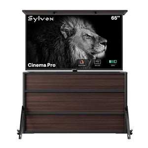 65" Cinema Pro TV extérieure + meuble élévateur