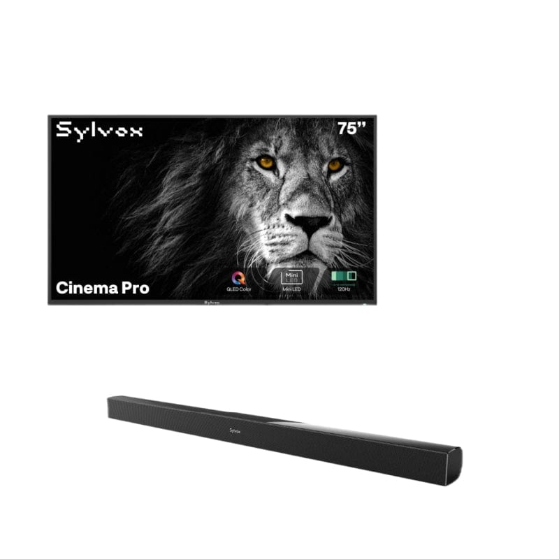 SMART Google TV Extérieur Étanche 75’’ (191 cm) 4K UHD Helio QLED, 120Hz, ultra-lumineux 3500 cd/m² - Cinema Pro