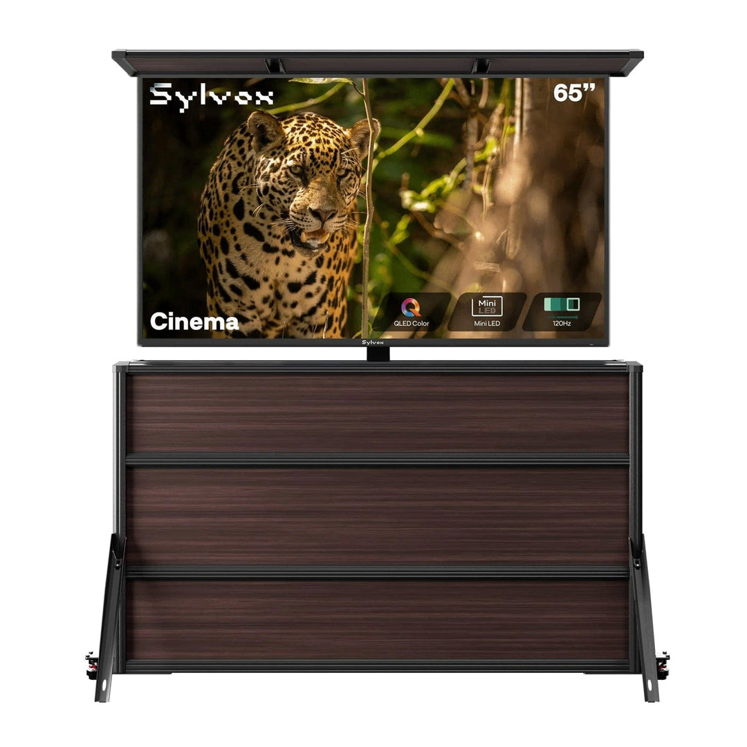 65" Cinema TV extérieure + meuble élévateur