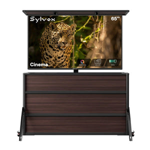 65" Cinema TV extérieure + meuble élévateur