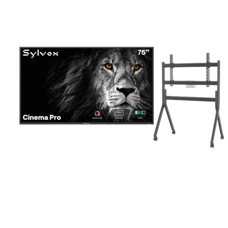 SMART Google TV Extérieur Étanche 75’’ (191 cm) 4K UHD Helio QLED, 120Hz, ultra-lumineux 3500 cd/m² - Cinema Pro