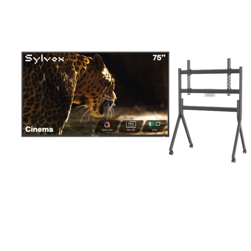 SMART Google TV Extérieur 75’’ (191 cm) 4K UHD Helio QLED, 120Hz, anti-reflet – Cinema