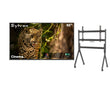 SMART Google TV Extérieur 65’’ (165 cm) 4K UHD Helio QLED, 120Hz, anti-reflet – Cinema
