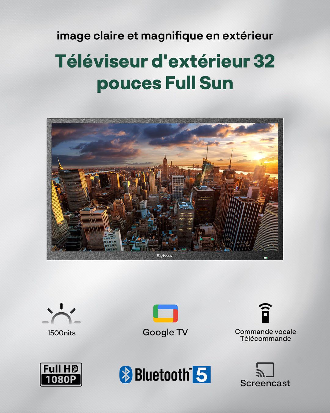 SMART Google TV Extérieur Étanche 32’’ (81 cm) ultra-lumineux 1500 cd/m² - Pool SE