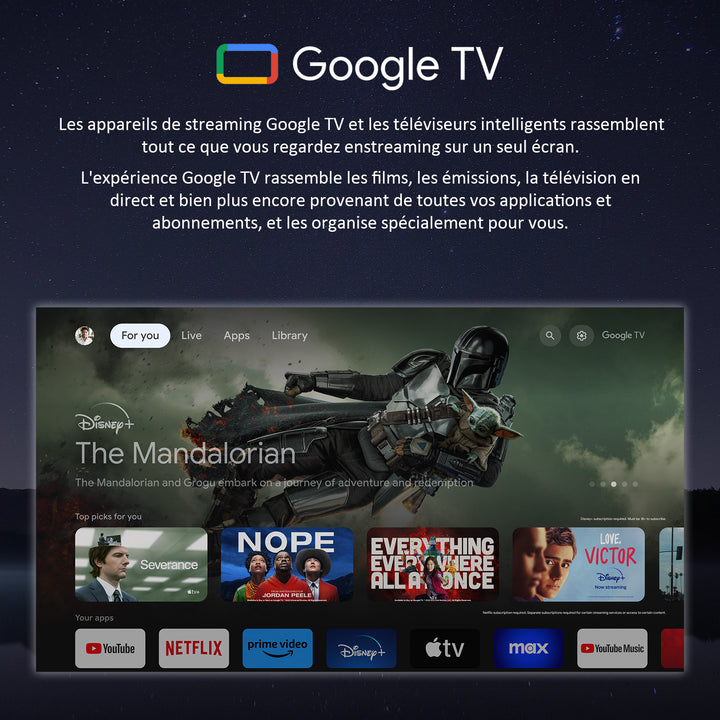 SMART Google TV Extérieur Étanche 43’’ (109 cm) 4K UHD – Deck Pro 3.0