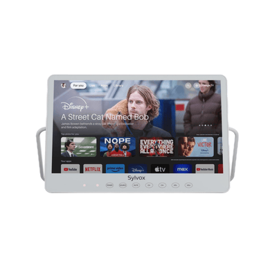 TV portable