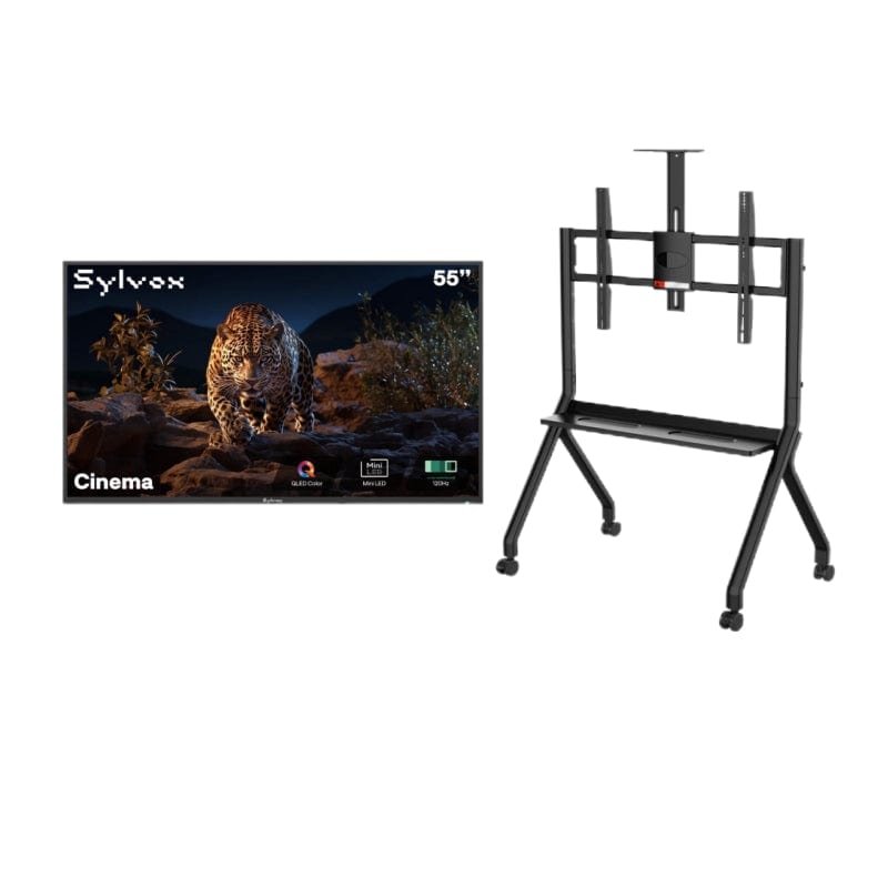 SMART Google TV Extérieur 55’’ (140 cm) 4K UHD Helio QLED, 120Hz, anti-reflet – Cinema