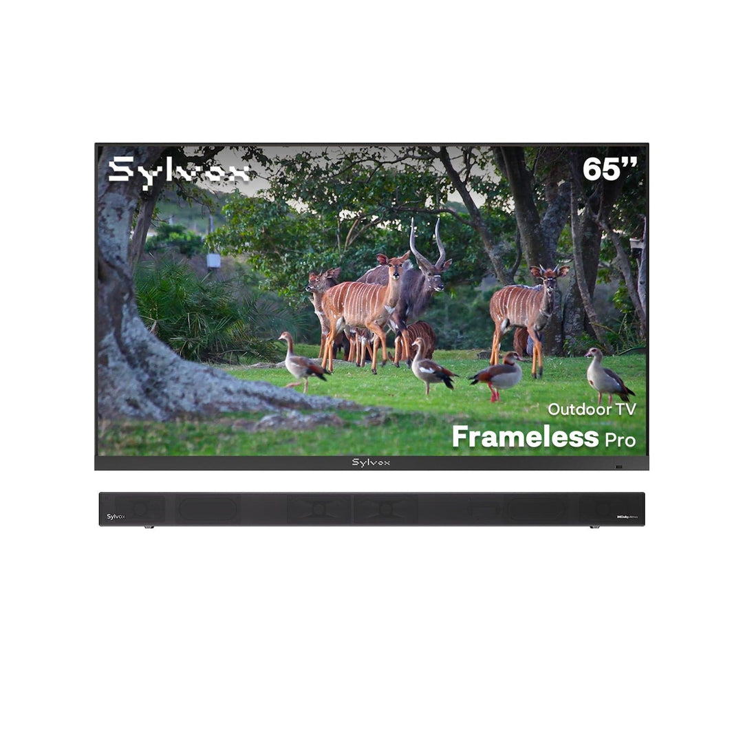 SMART Google TV Extérieur 65’’ 4K UHD Plein Soleil – Cadre Ultra-Fin – Série Frameless Pro