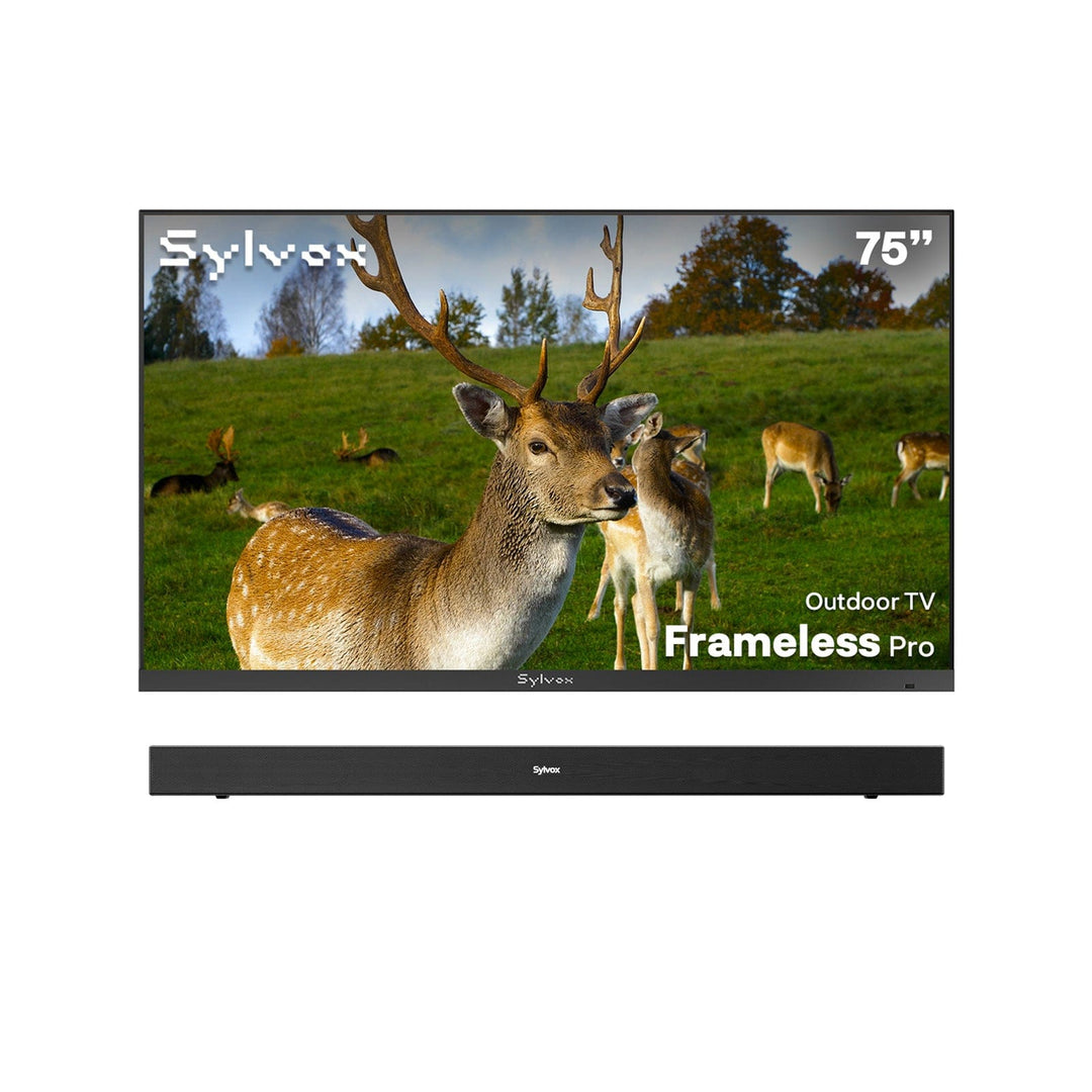 SMART Google TV Extérieur 75’’ 4K UHD Plein Soleil – Cadre Ultra-Fin – Série Frameless Pro