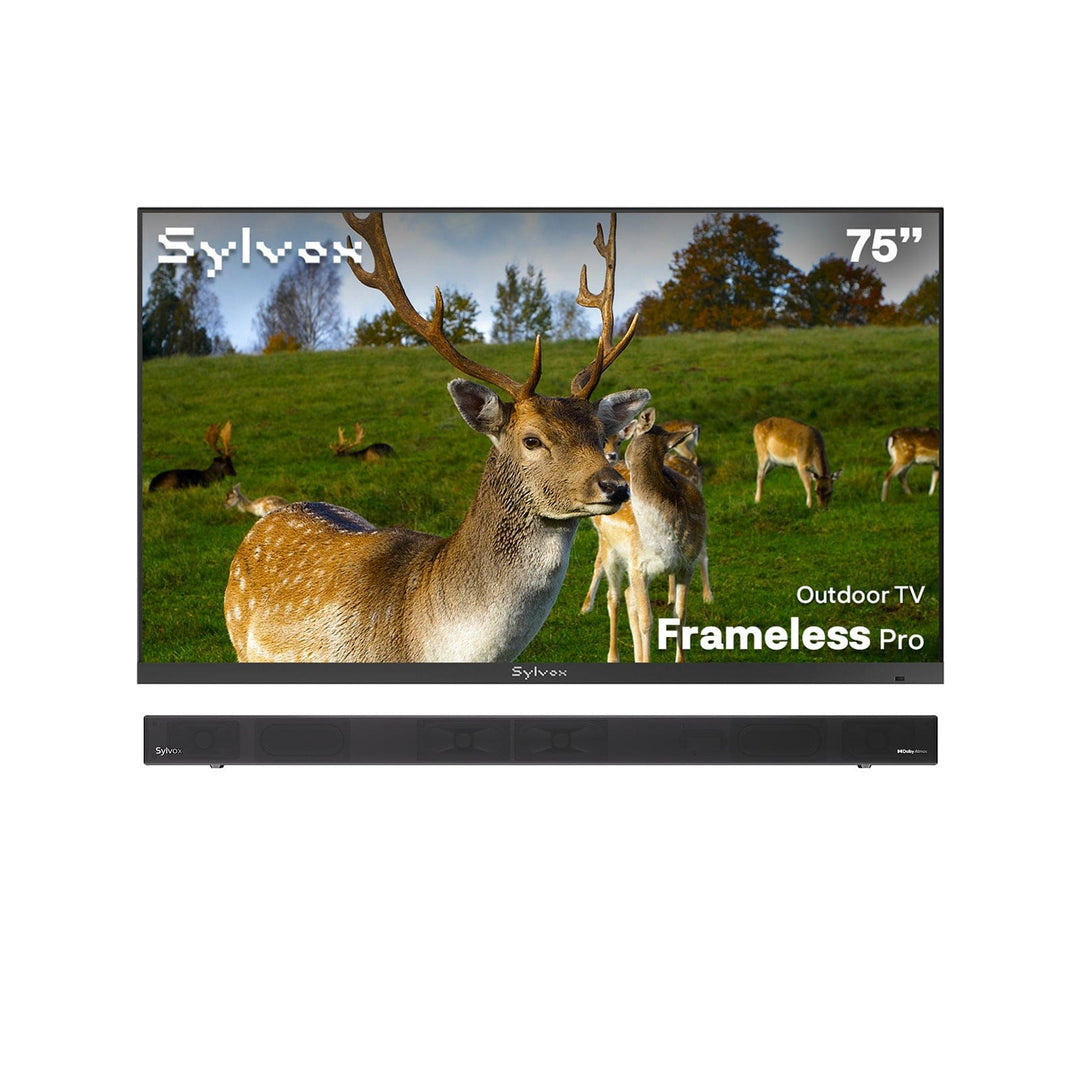 SMART Google TV Extérieur 75’’ 4K UHD Plein Soleil – Cadre Ultra-Fin – Série Frameless Pro