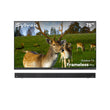 SMART Google TV Extérieur 75’’ 4K UHD Plein Soleil – Cadre Ultra-Fin – Série Frameless Pro