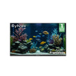 SMART Google TV Extérieur Étanche 75’’ 4K UHD – Cadre Ultra-Fin – Frameless