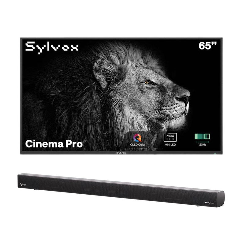 SMART Google TV Extérieur Étanche 65’’ (165 cm) 4K UHD Helio QLED, 120Hz, ultra-lumineux 3500 cd/m² - Cinema Pro