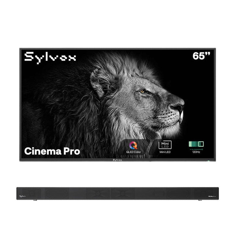 SMART Google TV Extérieur Étanche 65’’ (165 cm) 4K UHD Helio QLED, 120Hz, ultra-lumineux 3500 cd/m² - Cinema Pro